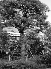 娄底注册公司